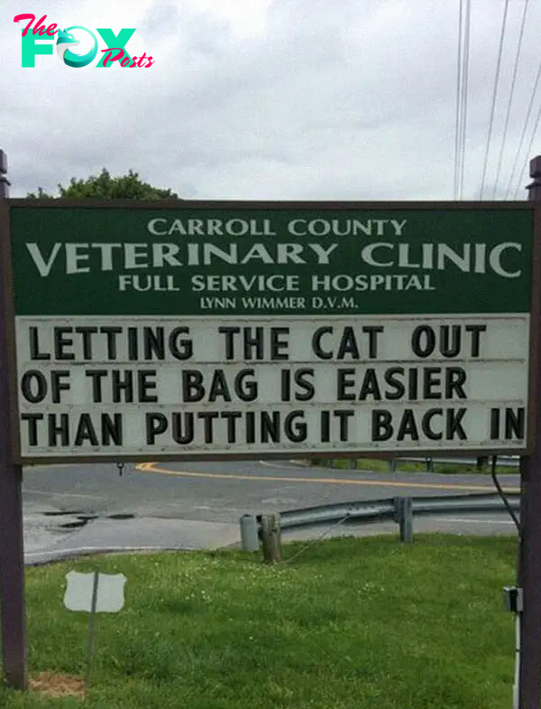 funny cat jokes vet clinic signs putting cat back in