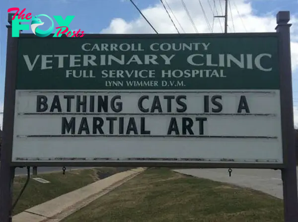 funny cat jokes vet clinic signs bathing cats martial arts
