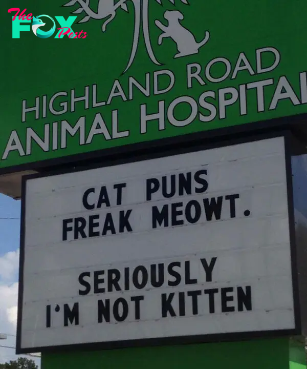 funny cat jokes vet clinic signs not kitten puns