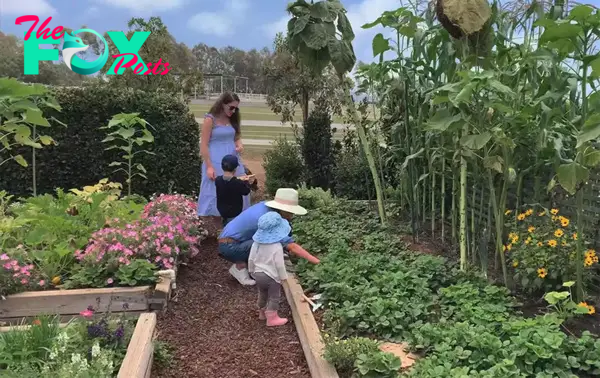 Harry and Meghan's Monecito gardens.