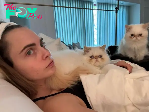 Cara Delevingne snuggling her cats