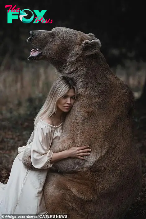 Lý do người mẫu vẫn an toàn khi chụp bộ ảnh thân mật với chú gấu nặng 350kg - Ảnh 2.