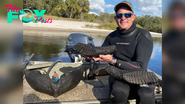 Huge mammoth jaw at least 10,000 years old pulled up from Florida river |  Live Science
