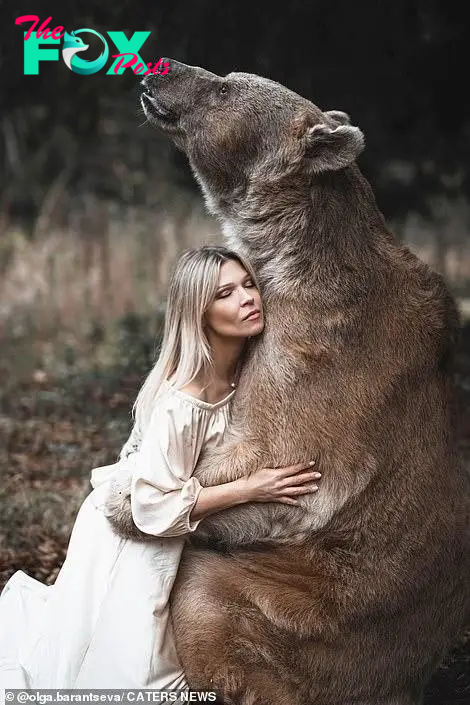 Lý do người mẫu vẫn an toàn khi chụp bộ ảnh thân mật với chú gấu nặng 350kg - Ảnh 5.