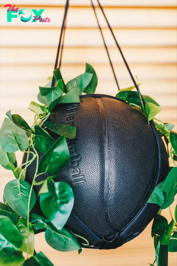 a black basketball planter with a plant hanging over it