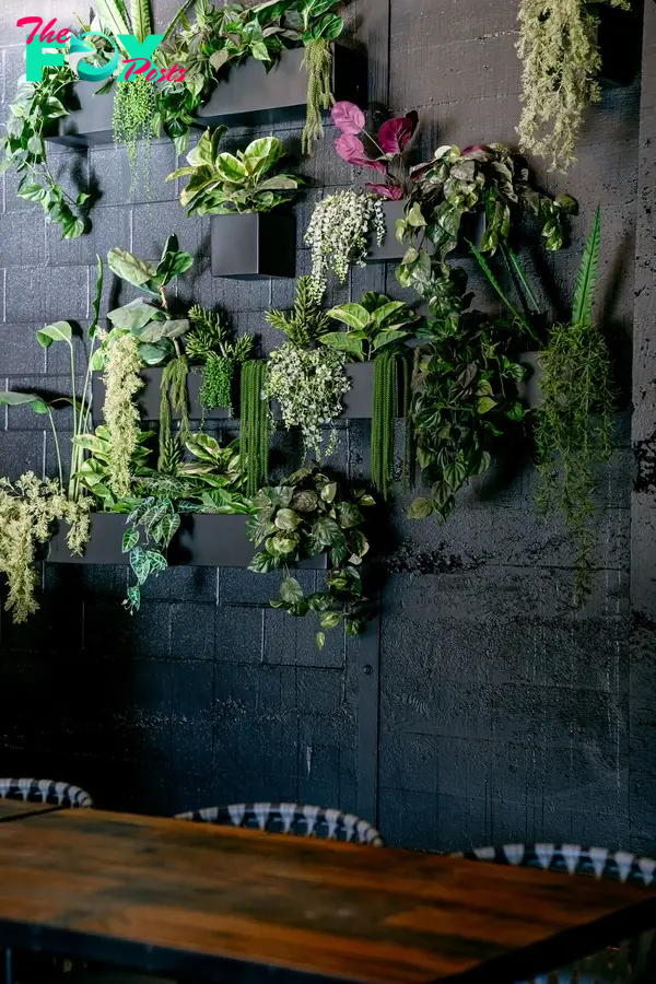 a wall of hanging plants