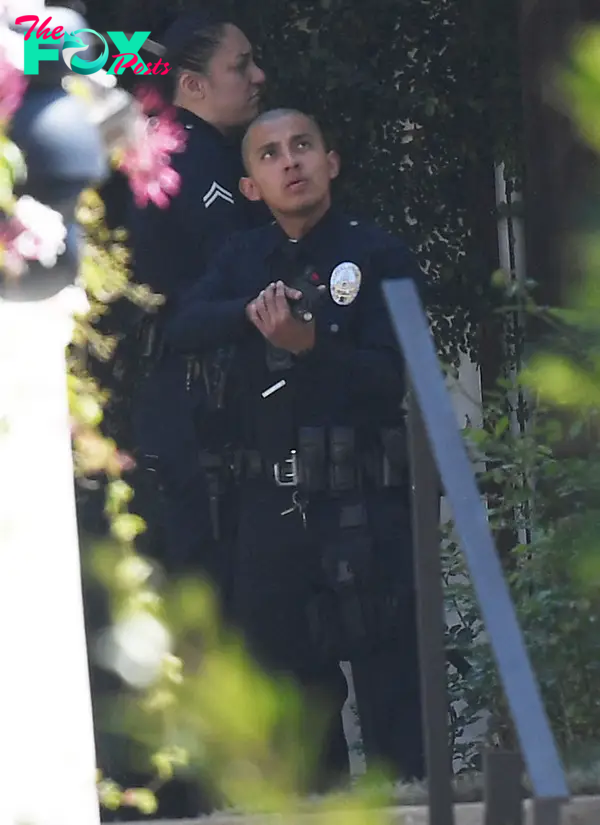 a police officer with gun pulled