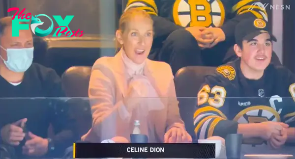 celine dion at bruins game sitting and cheering