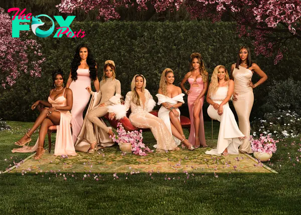 THE REAL HOUSEWIVES OF POTOMAC