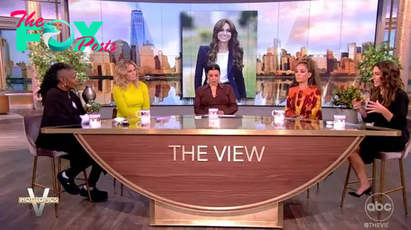 The View hosts