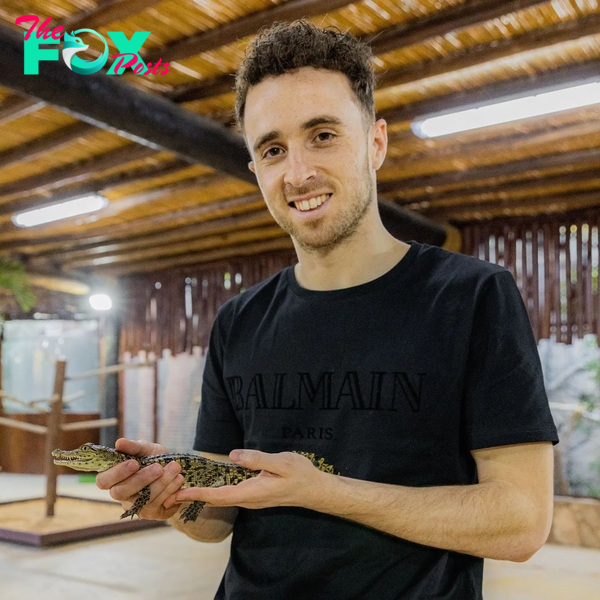 The Liverpool forward grinned as he cradled a tiny crocodile