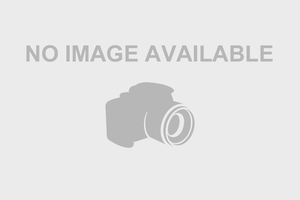 A selfie of Larsa Pippen and Marcus Jordan