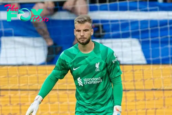 KARLSRUHE, GERMANY - Wednesday, July 19, 2023: Liverpool's goalkeeper Vitezslav Jaros during a pre-season friendly match between Karlsruher SC and Liverpool FC at the Wildparkstadion. Liverpool won 4-2. (Pic by David Rawcliffe/Propaganda)