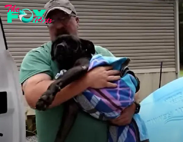 a man saved a stray dog and holds it in his arms