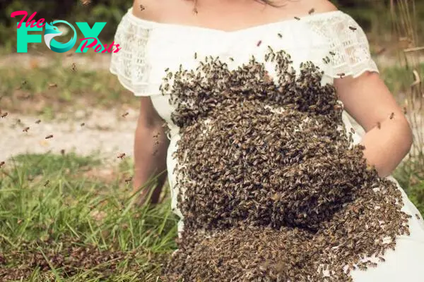  She said: "A lot of people think I'm insane but I'm so comfortable with bees so it was never something I had anxiety about"