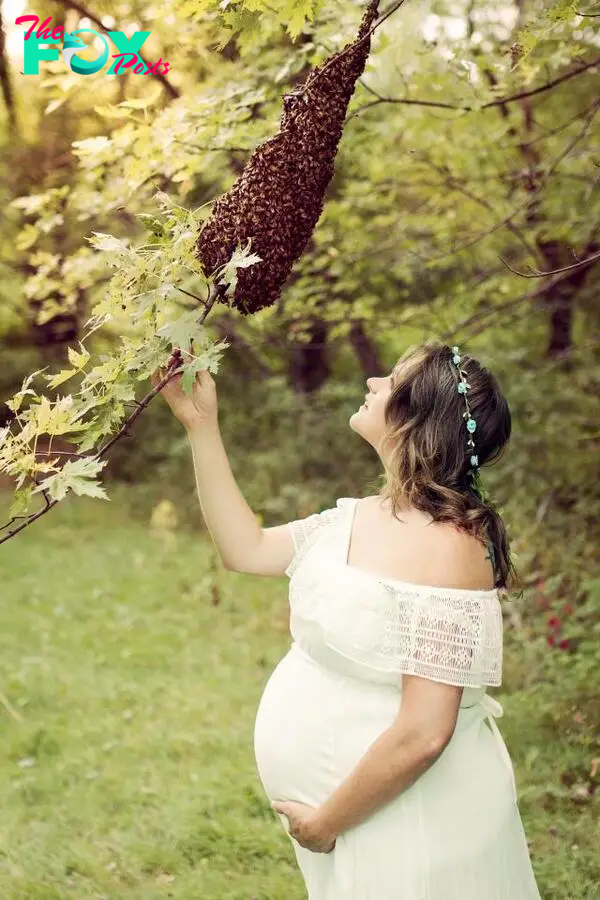  The 20,000 bees swarmed around the queen bee, creating some unique pictures for the keen beekeeper