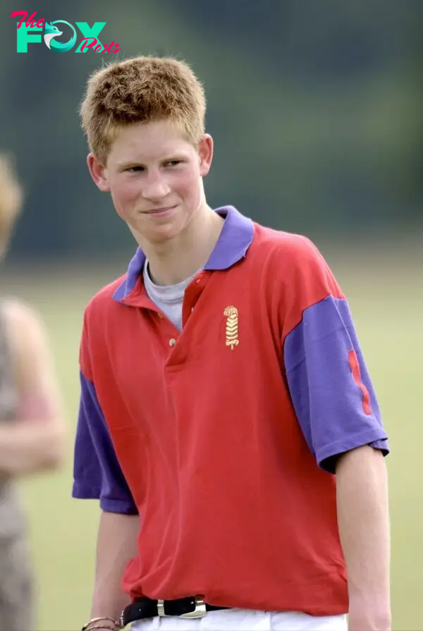 Prince Harry as a teenager. 