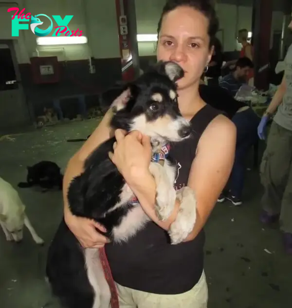 woman holding a puppy