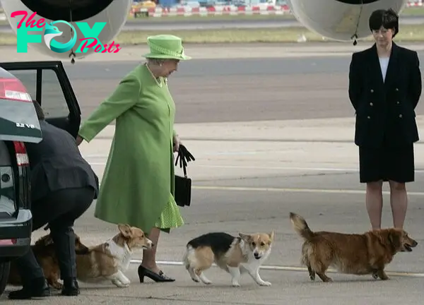 The lovely story of the Queen's all-Corgi guard squad – Photo 2.