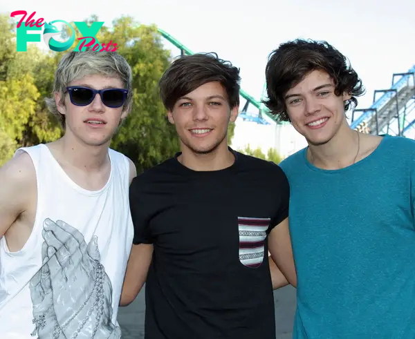 Niall Horan, Louis Tomlinson and Harry Styles of One Direction 