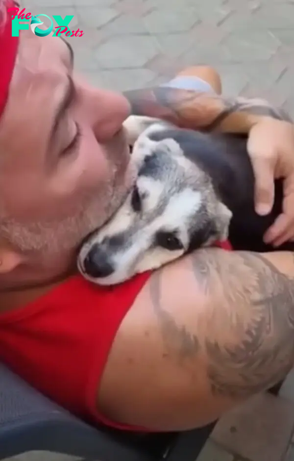 man hugging the dog