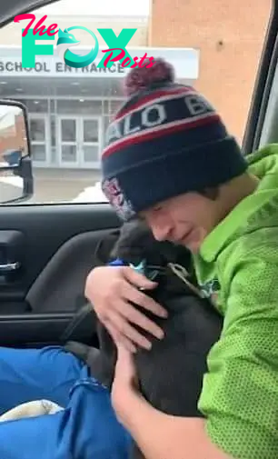 boy reuniting with his lost dog