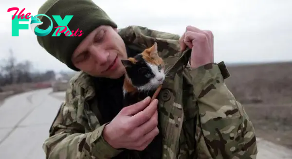 A Ukrainian soldier holds a cat while guarding a checkpoint near the port city of Mariupol - Photo: FILIPPOV