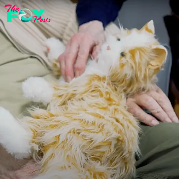 Animatronic 'Marmalades' cats helping residents at Riverside House Care Home in Morpeth, Richard Doninson, UK, dementia, Alzheimer's, Roanoke, Virginia, 3
