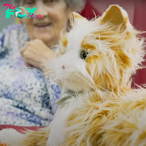 Animatronic 'Marmalades' cats helping residents at Riverside House Care Home in Morpeth, Richard Doninson, UK, dementia, Alzheimer's, Roanoke, Virginia, 6
