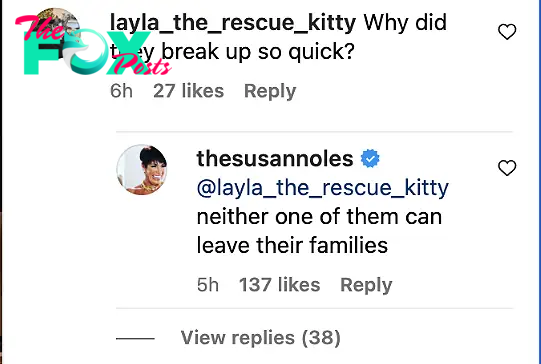 screenshot of Susan Noles' Instagram comment