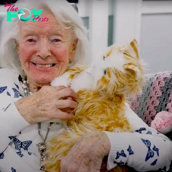 Animatronic 'Marmalades' cats helping residents at Riverside House Care Home in Morpeth, Richard Doninson, UK, dementia, Alzheimer's, Roanoke, Virginia, 7
