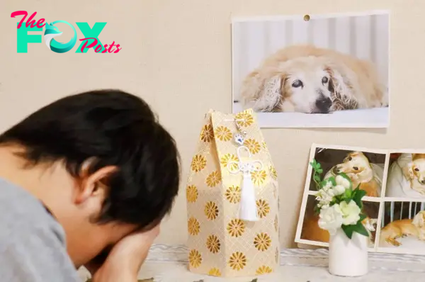 owner crying in front of his dog picture