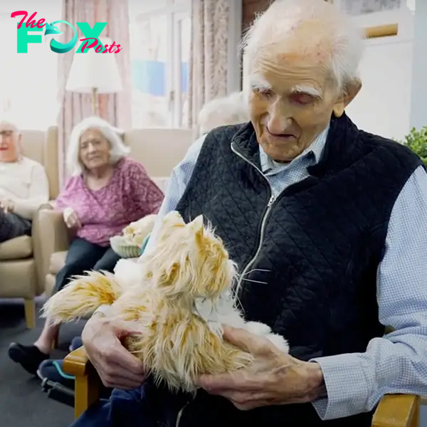 Animatronic 'Marmalades' cats helping residents at Riverside House Care Home in Morpeth, Richard Doninson, UK, dementia, Alzheimer's, Roanoke, Virginia, 2