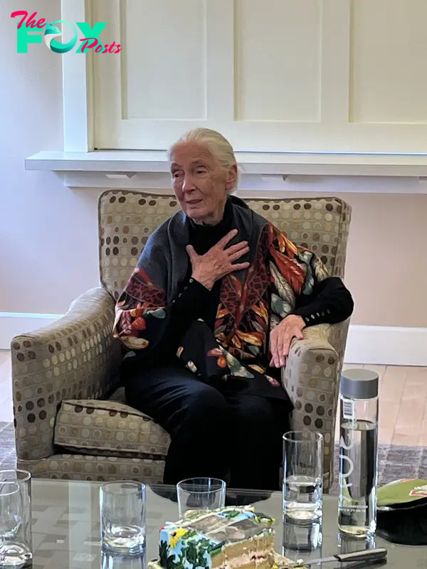 Jane Goodall sitting.