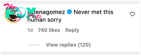Selena Gome Instagram comment.