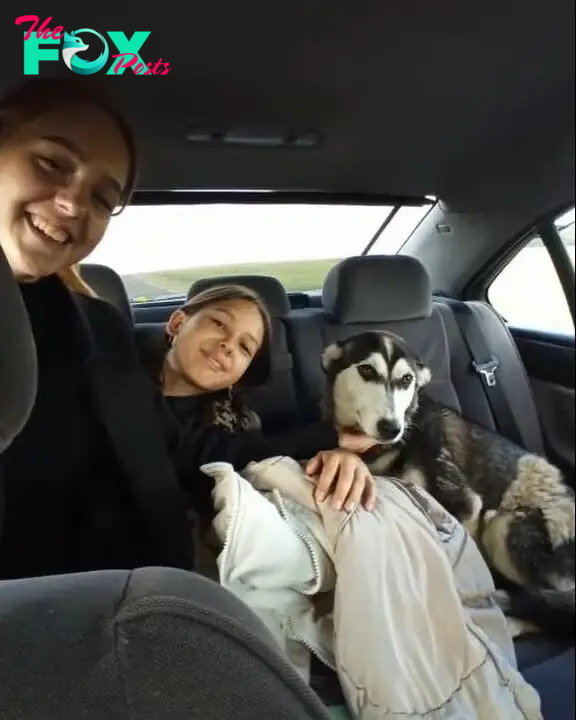woman, kid and dog in a car