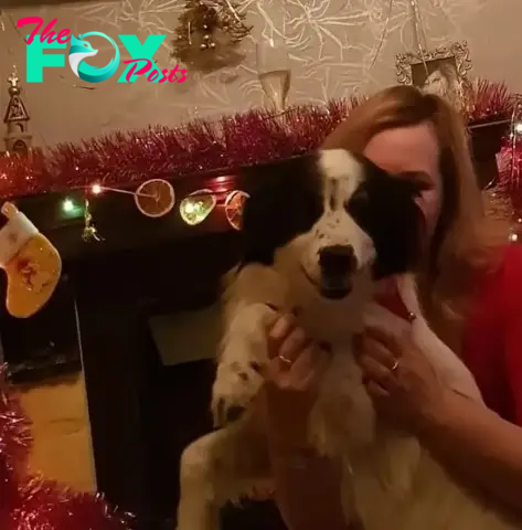 woman holding happy dog