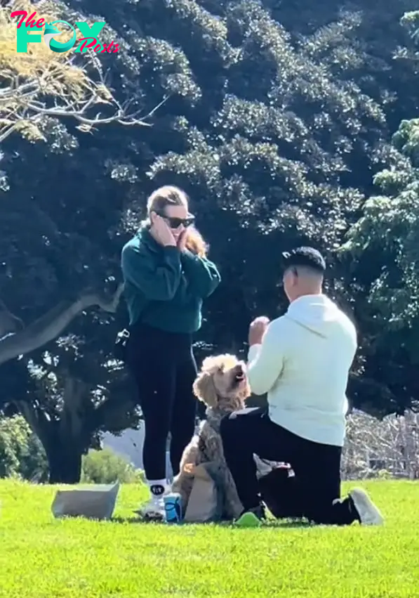 dog interrupting proposal of man