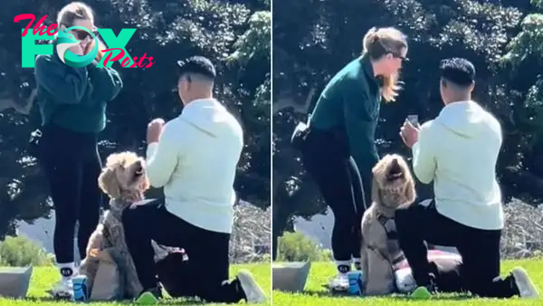 Witness How This Sweet Dog Reacted When She Saw Her Mom Was Getting Proposed