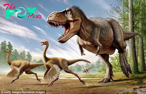 The study could enable us to tell what colour feathered dinosaurs were. Some researchers believe Tyrannosaurus rex even had feathers (illustrated)