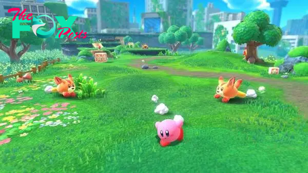 Kirby running along some grass with some dogs chasing.