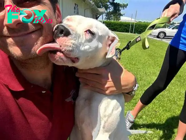 Pilot getting kissed by rescued dog