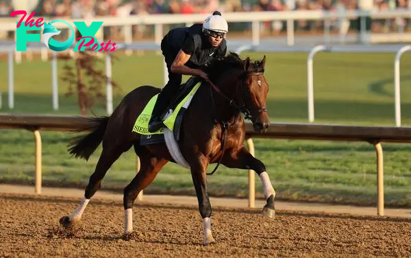 A horse that attracted a seven-figure purchase fee, Sierra Leone is being tipped for victory at the Kentucky Derby.