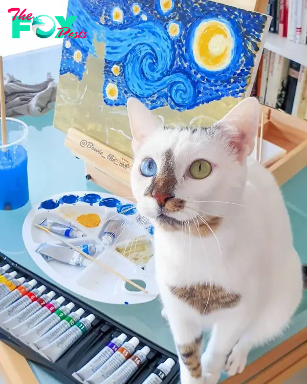 This cat is a work of art *wink*