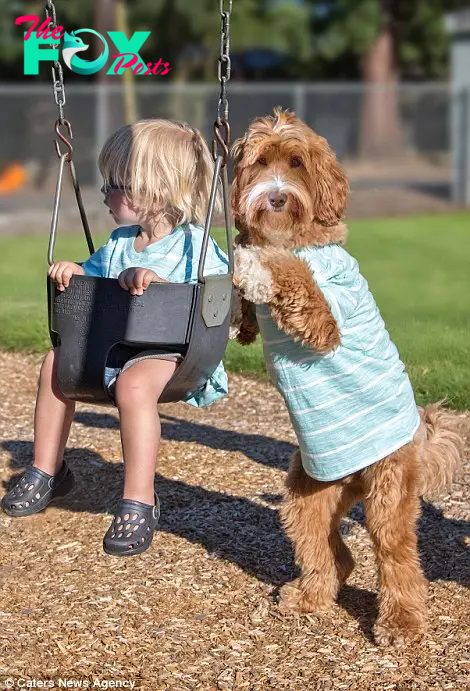 Insperable: Buddy and Reagan play on swings