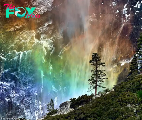 Photographer Mei Xu captures rainbow forms at bottom of waterfall in  Yosemite | Daily Mail Online