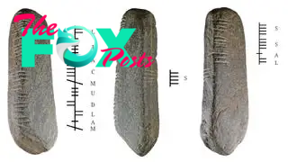 A diagram of the markings found on the stone.