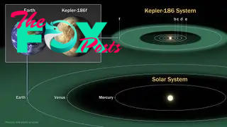 This diagram compares the planets of our inner solar system to Kepler-186, a five-planet star system about 500 light-years from Earth in the constellation Cygnus.