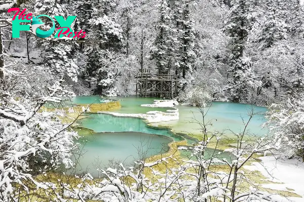 Green lake in winter