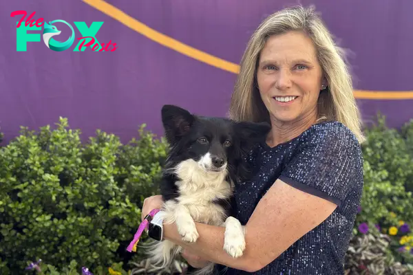 Westminster Dog Show-Mixed-Breed Prize